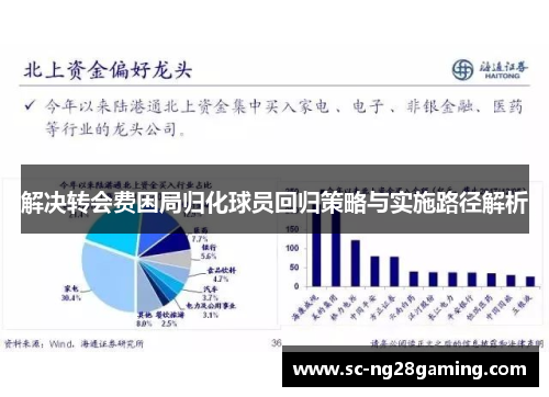 解决转会费困局归化球员回归策略与实施路径解析 解决转会费困局归化球员回归策略与实施路径解析