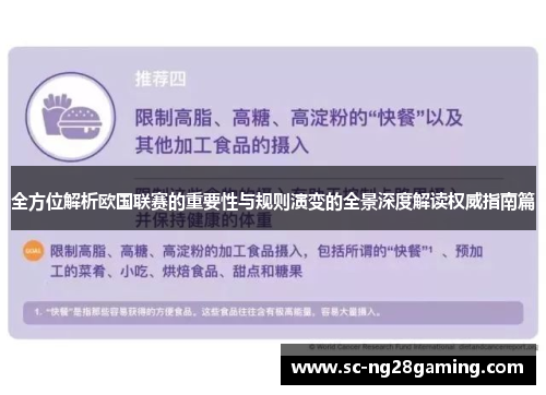 全方位解析欧国联赛的重要性与规则演变的全景深度解读权威指南篇