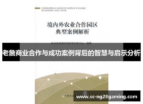 老詹商业合作与成功案例背后的智慧与启示分析