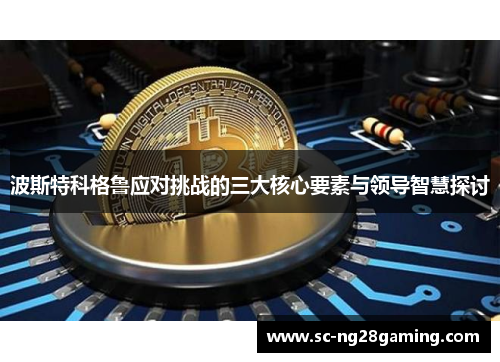 波斯特科格鲁应对挑战的三大核心要素与领导智慧探讨