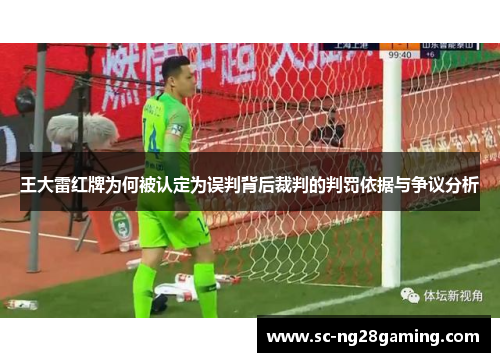 王大雷红牌为何被认定为误判背后裁判的判罚依据与争议分析