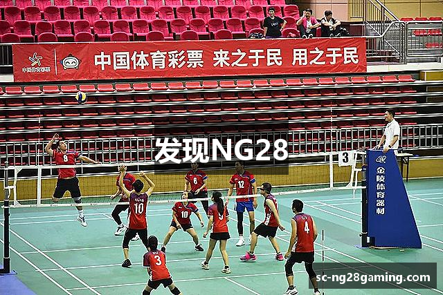 发现NG28